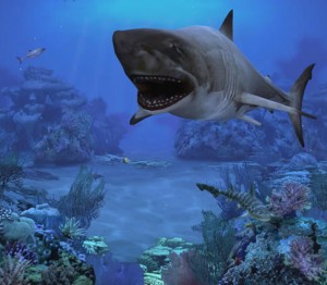 Four Sharks of IT Disruption